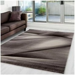 Tapis BOBOCHIC - Tapis Poils Courts FLORIDA Motif Graphique 80x150 Marron - Marron -BOBOCHIC Soldes 2022 32532972 2