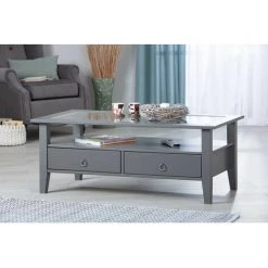 Tables Basses BOBOCHIC - Table Basse 2 Tiroirs FOLIERE Pin Massif Gris - Gris 9 Tables Basses BOBOCHIC - Table Basse 2 Tiroirs FOLIERE Pin Massif Gris - Gris -BOBOCHIC Soldes 2022 51168696 3